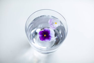 Mor çiçeklerle dolu bir bardakta su. yüksek kaliteli fotoğraf