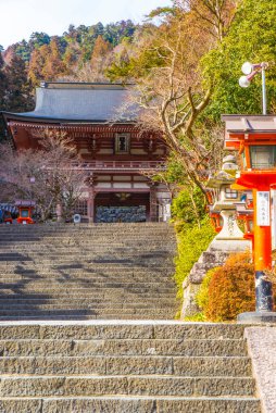 Güzel tapınak manzarası, dini mimari.