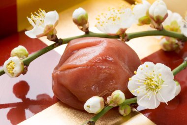 Umeboshi, pickled japanese plums and sakura flowers clipart