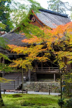 Çarpıcı antik bir Japon tapınağının resimli görüntüsü.