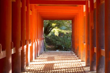 Japonya 'da geleneksel ahşap kapı