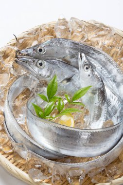 Taze balığı buz ve limonla kapatın. 