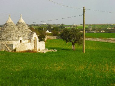 Alberobello 'nun ikonik eski Trullo ve Trulli beyaz evlerinin koni şeklinde taş tavanları, UNESCO Dünya Mirası Alanı, Alberobello, Apulia, İtalya, Avrupa