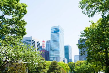 Şehirdeki modern bina ve yeşil ağaçlar 