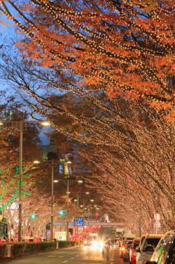 Noel süslerinin ve çelenklerin güzel manzarası gece şehrinde ağaçlarda                    