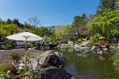 Göleti, kayaları ve ağaçları olan güzel Japon bahçesi.