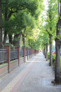 Japonya manzaralı cadde