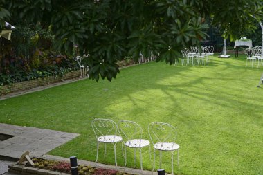 Beyaz sandalyeli ve ağaçlı yeşil çimenler