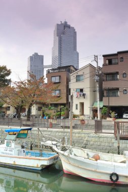 Tokyo şehri manzarası, Japonya.