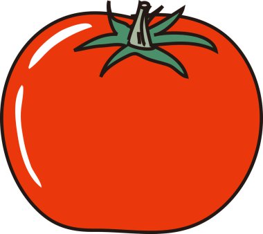 Taze domates, beyaz arkaplanda illüstrasyon