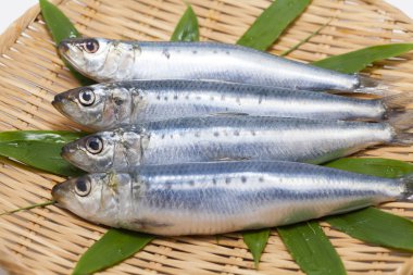 Tahta bir masada çiğ uskumru balığı.