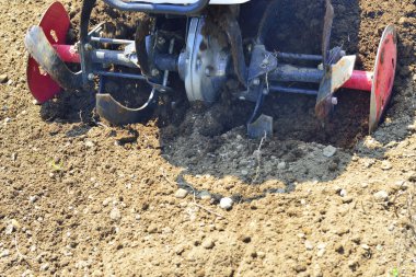 Bir tarlayı kazan traktörü kapatın.