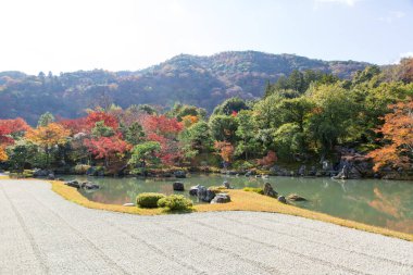 Sonbahar dağlarında nehir. Japonya.
