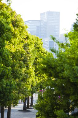 Şehir caddesinde ağaçları olan modern binalar. 