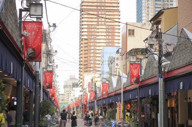 Tokyo şehrinin güzel manzarası, Japonya.