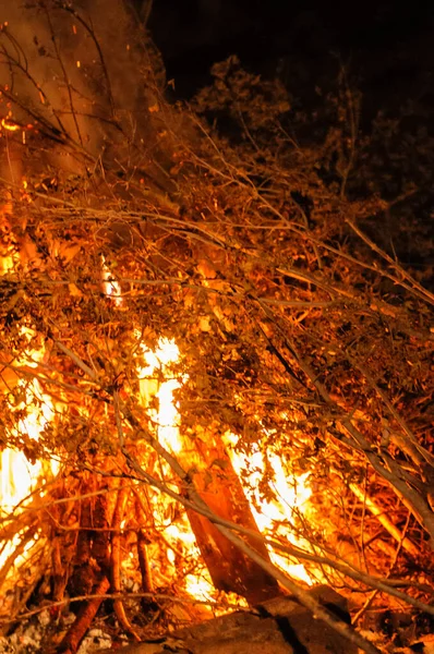 Close View Burning Fire Forest — Stock Photo, Image