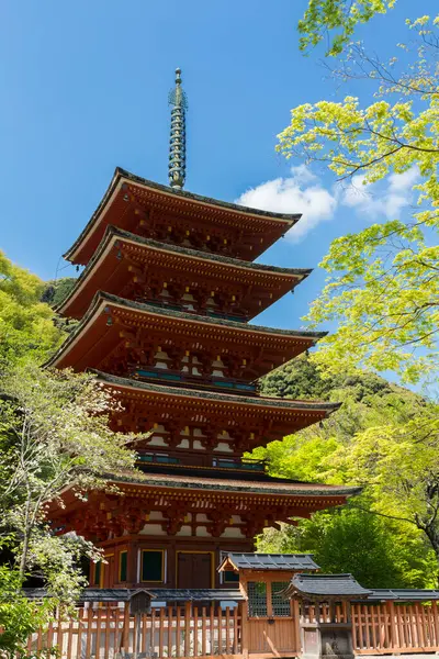 日本奈良海泽寺的传统木制宝塔 — 图库照片