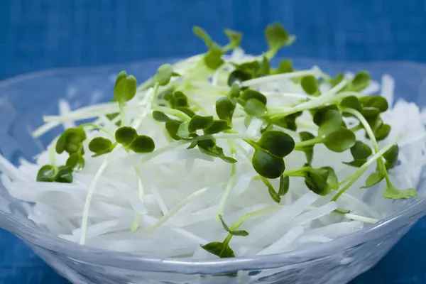 スプロッツとグリーンのサラダ — ストック写真