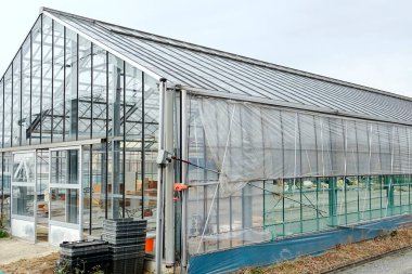 Metal çatılı sera