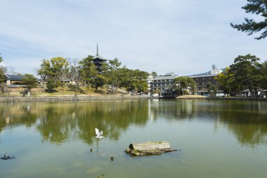 Japonya, Nara 'daki Kofukuji Tapınağı' ndaki tahta kule.