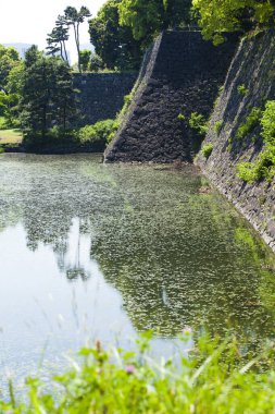Japon kalesinde göleti ve eski taş duvarları olan güzel bir bahçe.  