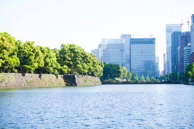 Nehir, şehirde yeşil ağaçları olan modern bir bina. 