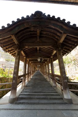 Hasedera Tapınağı, Japonya 'nın Kamakura şehrindeki ünlü tapınak.