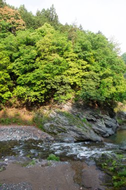 beautiful landscape with river in the mountains     