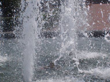 Parktaki çeşmede su