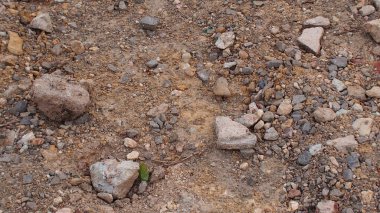 Yerdeki taşlar ve kayalar