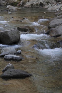 Ormanda güzel bir şelale görüntüsü.