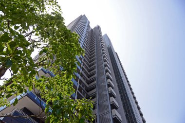 Şehirde yeşil ağaçlı modern bir bina.  