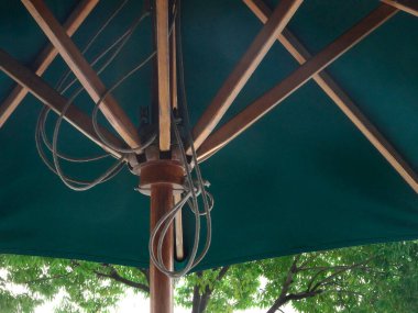 Parkta koyu yeşil şemsiye yakın çekim görüntüsü