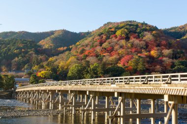 Japonya 'da nehir boyunca köprü. Sonbahar sezonu