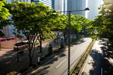 Gündüz yeşil ağaçlar ve modern mimari