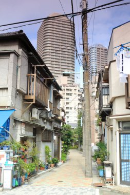 Tokyo şehri manzarası, Japonya.