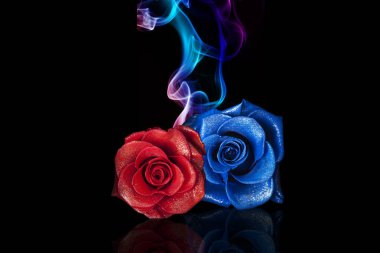 iki renkli duman ve koyu arkaplanda güller