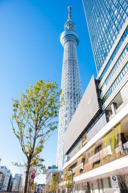 Tokyo Skytree ve Tokyo Skytree Doğu Kulesi Sumida Ward, Tokyo, Japonya 'da açık mavi gökyüzüne karşı 