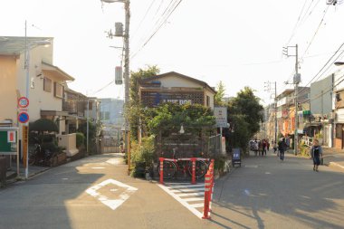 Tokyo, Japonya 'da yeşil ağaçları olan güzel bir şehir caddesi. 