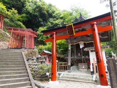 Manzaralı bir ortamda eski bir Japon tapınağının güzel bir görüntüsü.