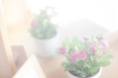 Kavanozdaki pembe çiçeklerle bulanık