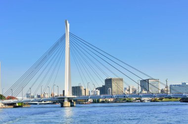 güzel şehir silueti, modern şehir konsepti arka planı 