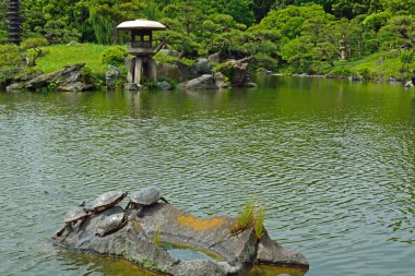 Kiyosumi Bahçesi - Tokyo, Japonya 'da geleneksel Japon bahçesi