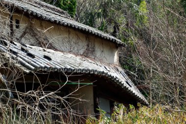 Japonya 'da ağaçlı eski ahşap bir ev.