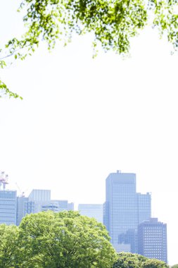 Şehirdeki gökdelenlerin önündeki yeşil ağaçlar