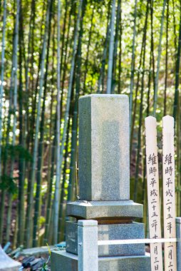 Japonya 'daki eski tarihi mezarlığın manzarası..