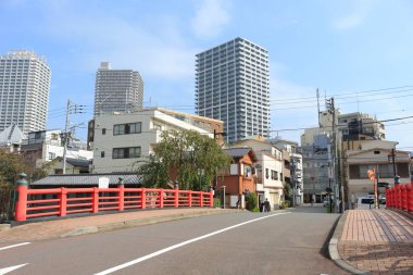 Tokyo şehri manzarası, Japonya.