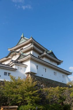 Wakayama Kalesi, Wakayama, Japonya