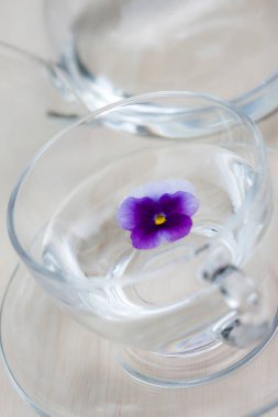 Çiçekli bir bardak su.