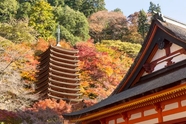 Tanzan Shrine Autumn Nara Prefecture Japan — Stock Photo, Image